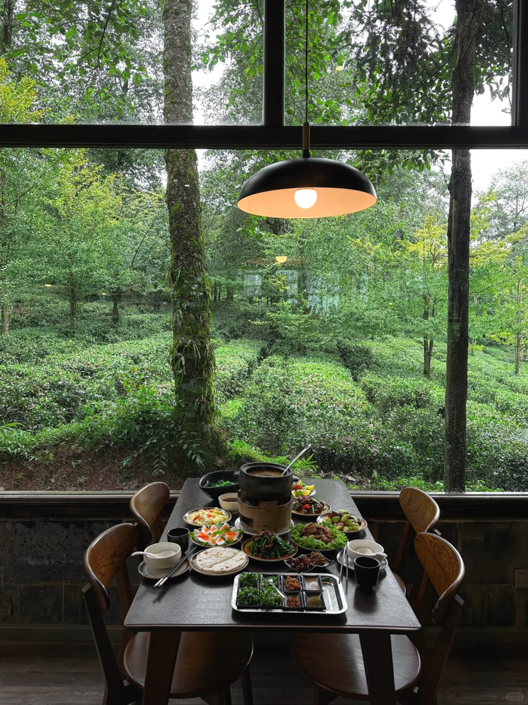 以为云南已经够美了,直到我去了这里…