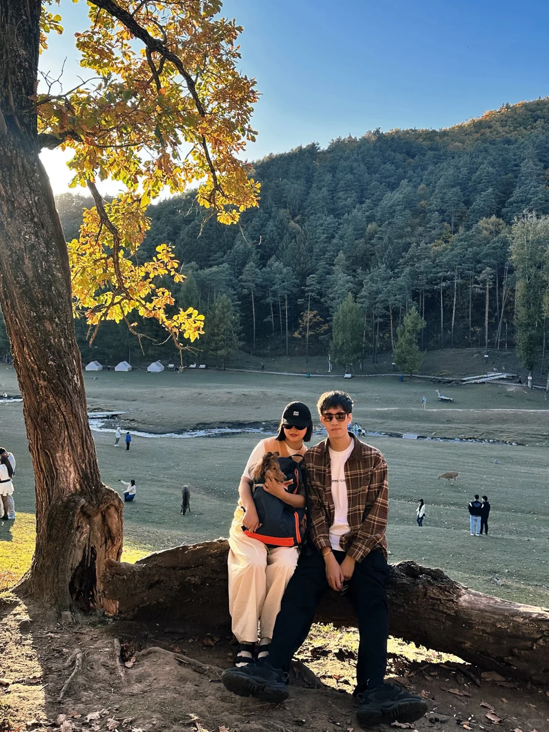 🍂一定要在秋天去一次小兴安岭