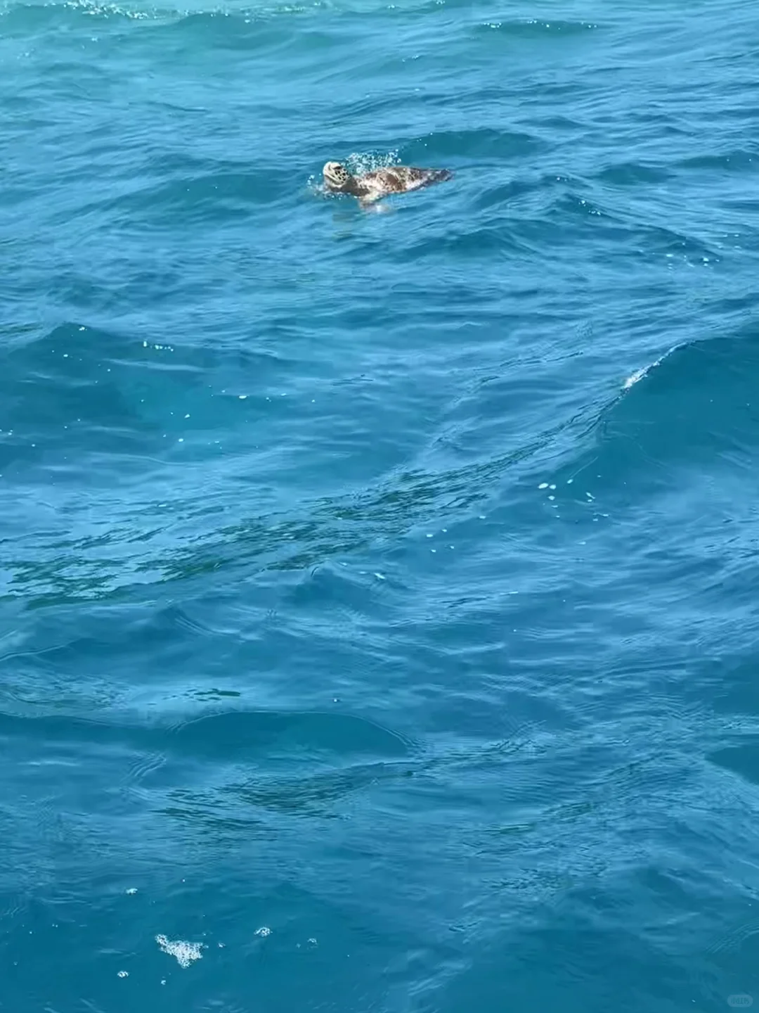 怎么会有戒断反应这么持久的地方