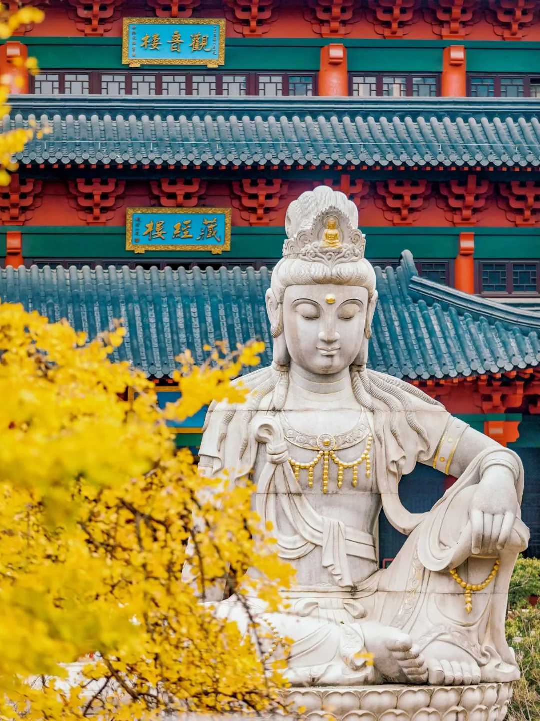 秋天在南京最适合citywalk的⑤条路线‼️