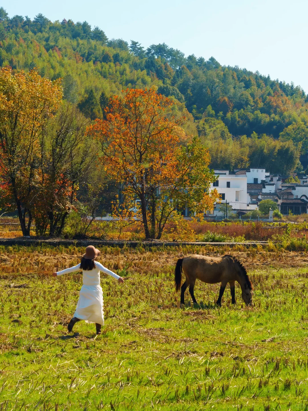 已经开始期待皖南的秋天了🍁🍁🍁