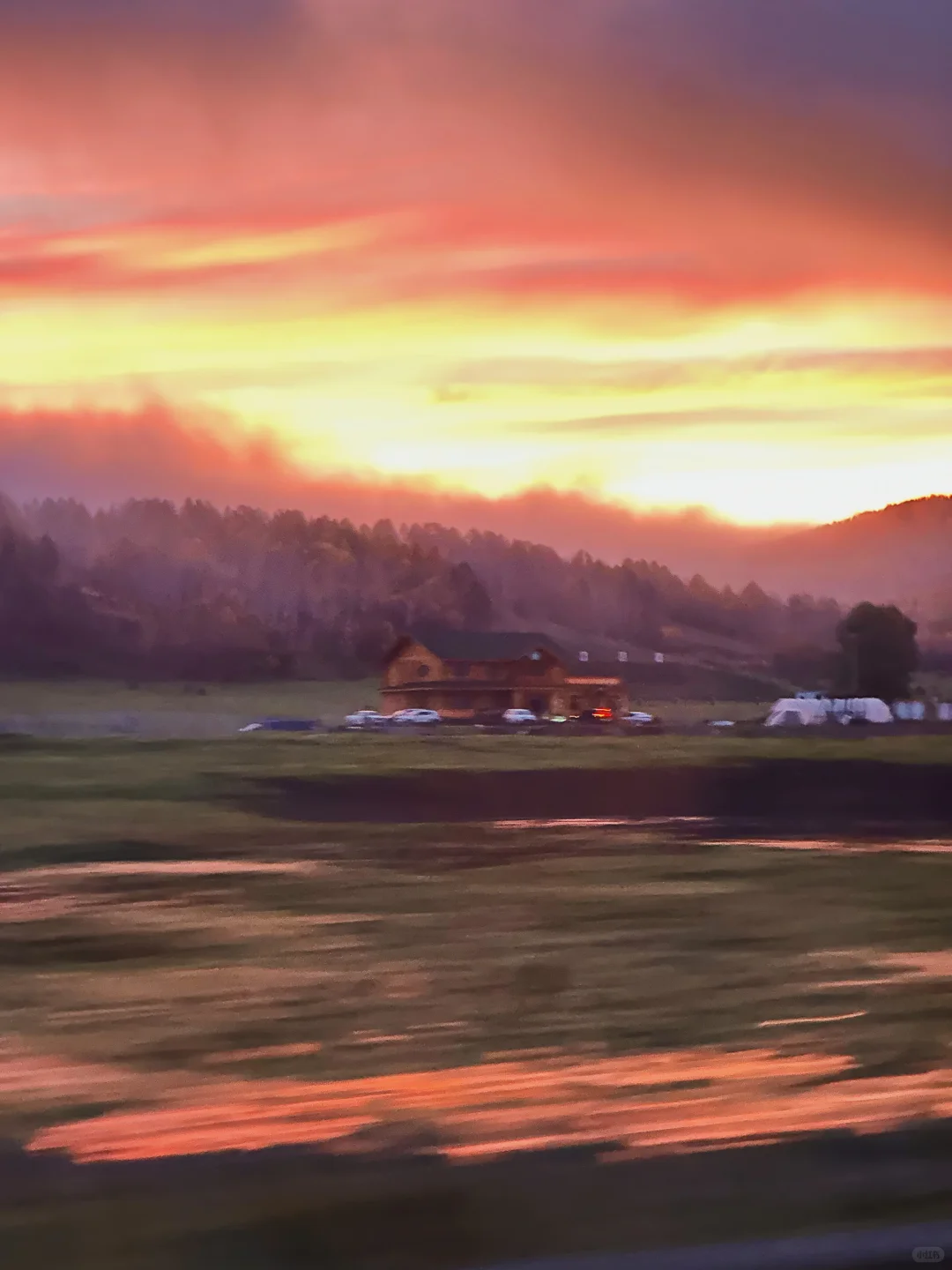 在呼伦贝尔见到了人生中最盛大的秋天🍂