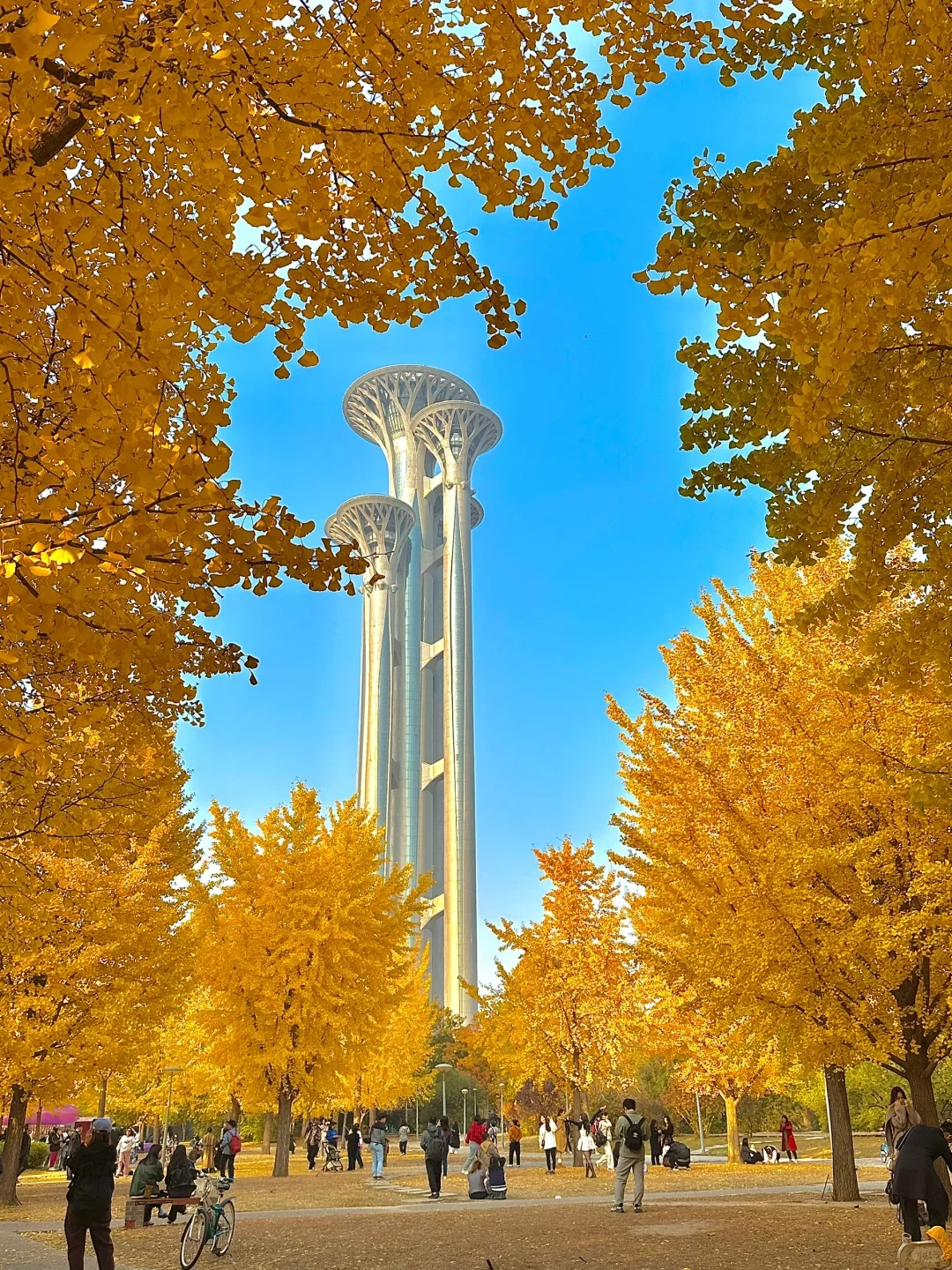 北京现状，10月要去的姐妹尽快改行程...