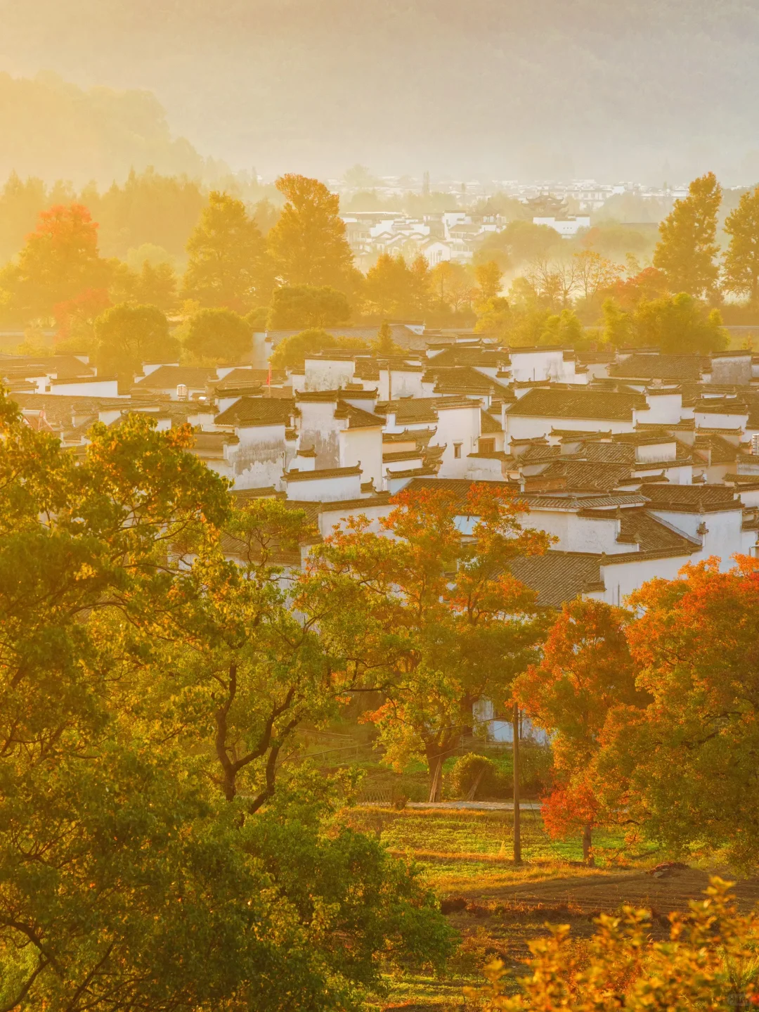 已经开始期待皖南的秋天了🍁🍁🍁