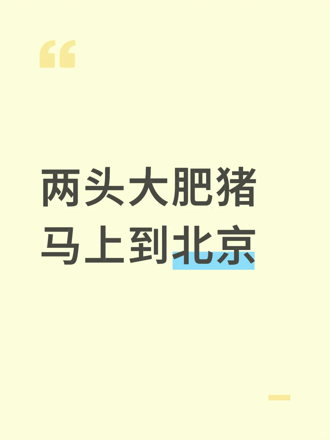 两头大肥猪马上到北京！！！！！！！！！！