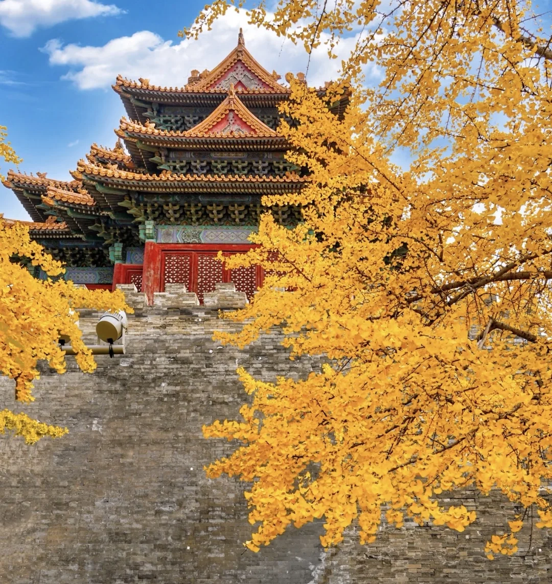 国庆要一起去看北平的秋吗🍂