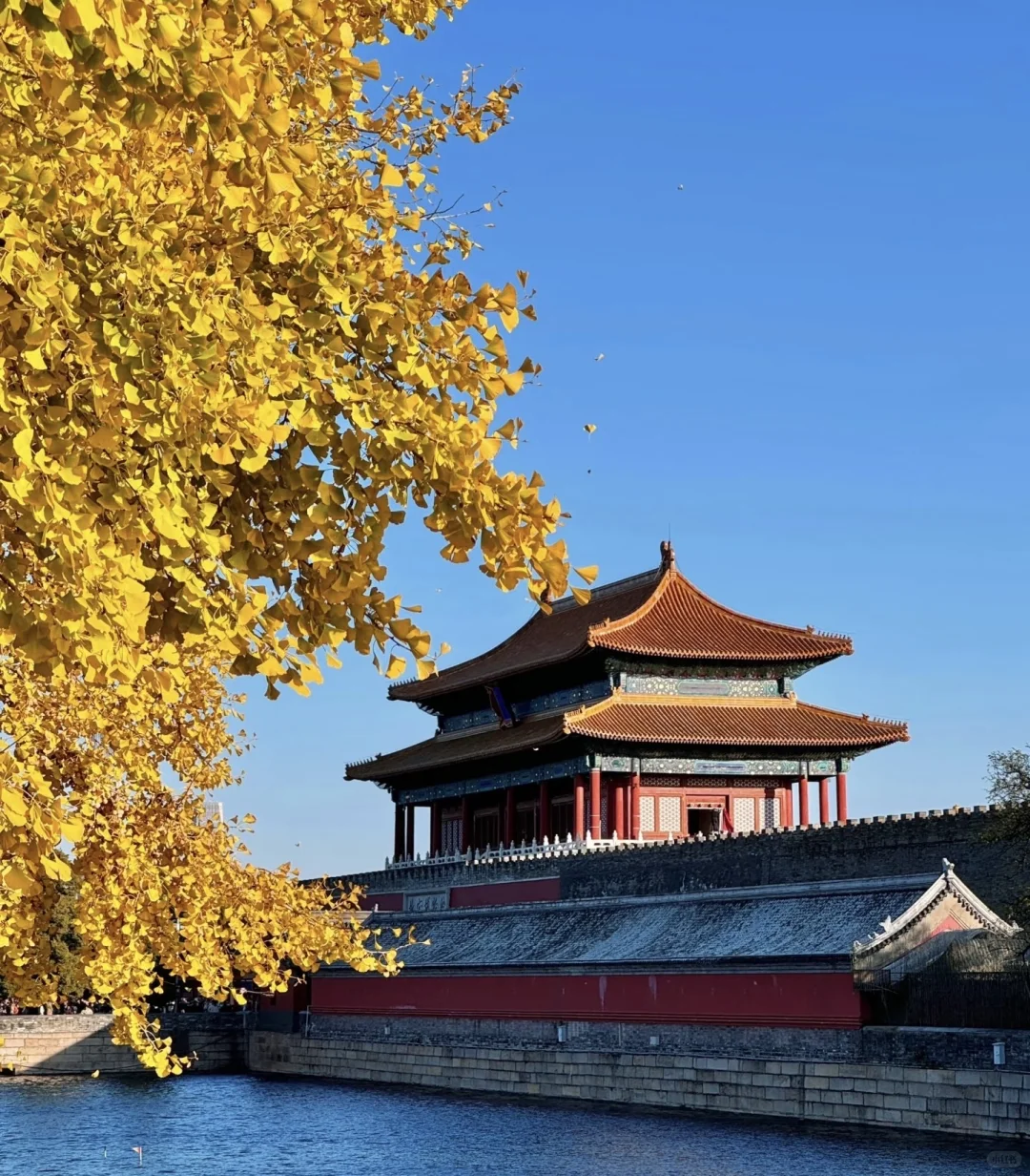国庆要一起去看北平的秋吗🍂
