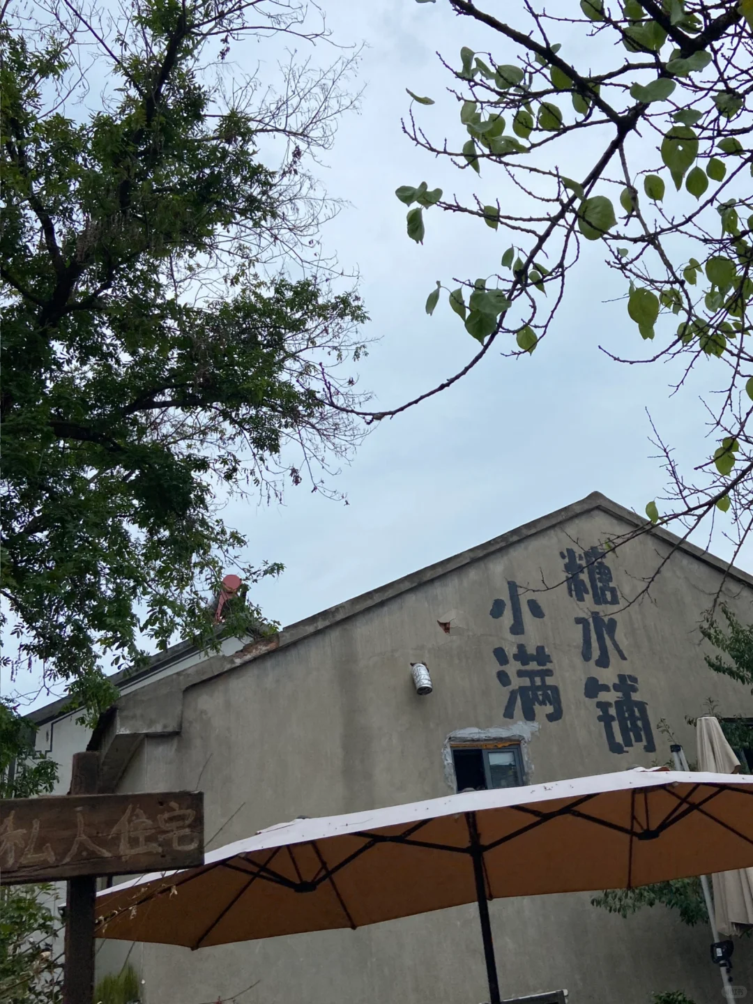📍南京佘村/南京版“有风的地方”🍃