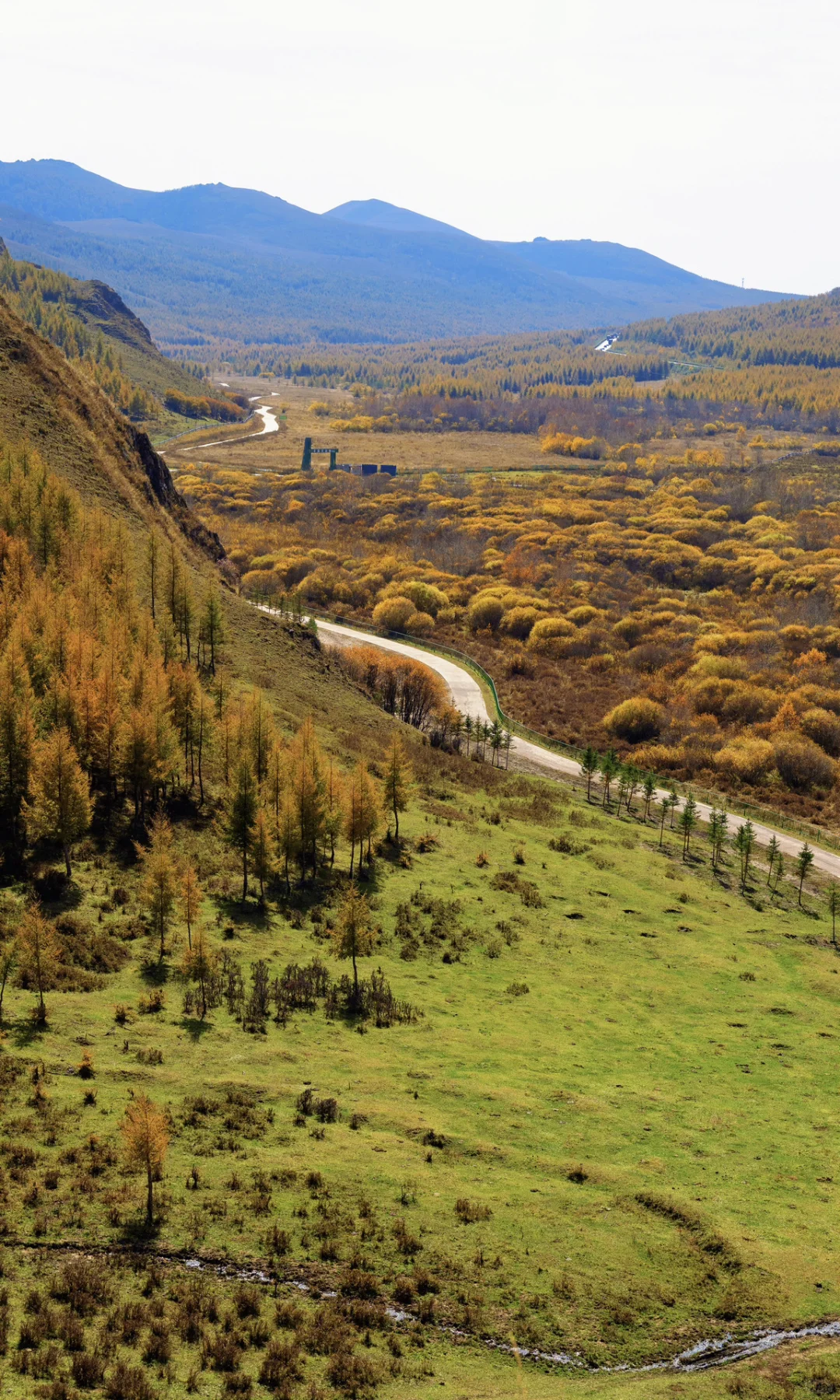 北京3h🚗 闯进了秋天的油画世界！