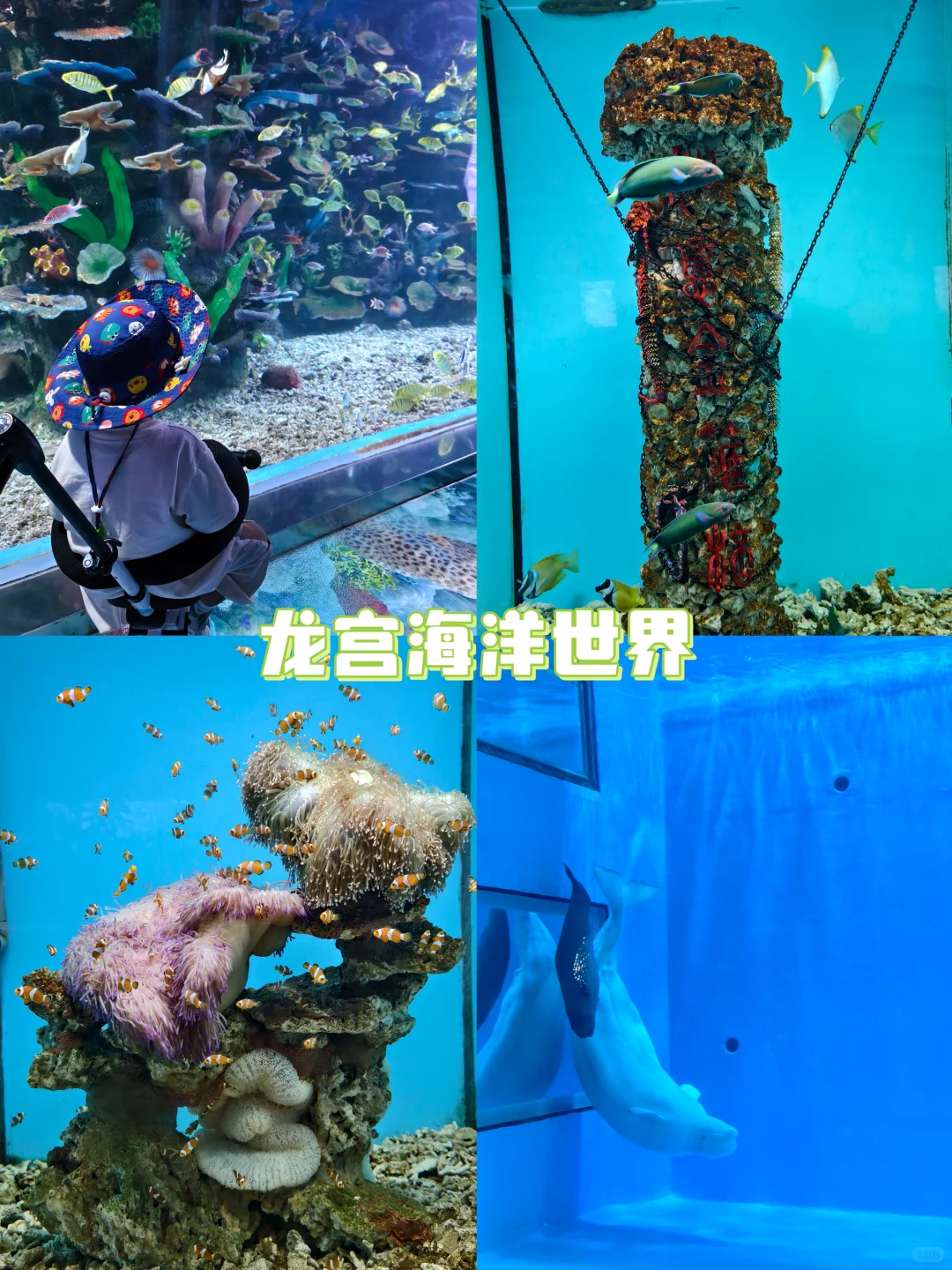 江苏·淮安 | 遛娃三日游