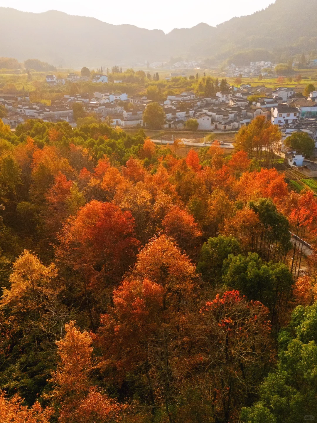 已经开始期待皖南的秋天了🍁🍁🍁