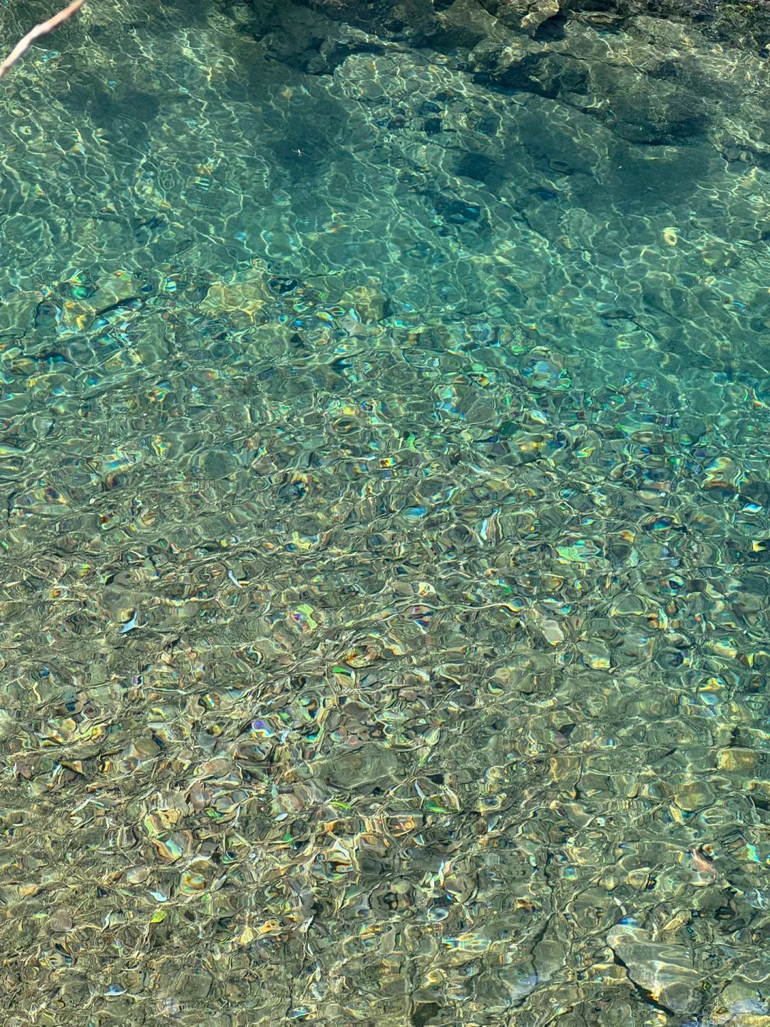 实拍Live ‼️小红书跟风最成功的一次