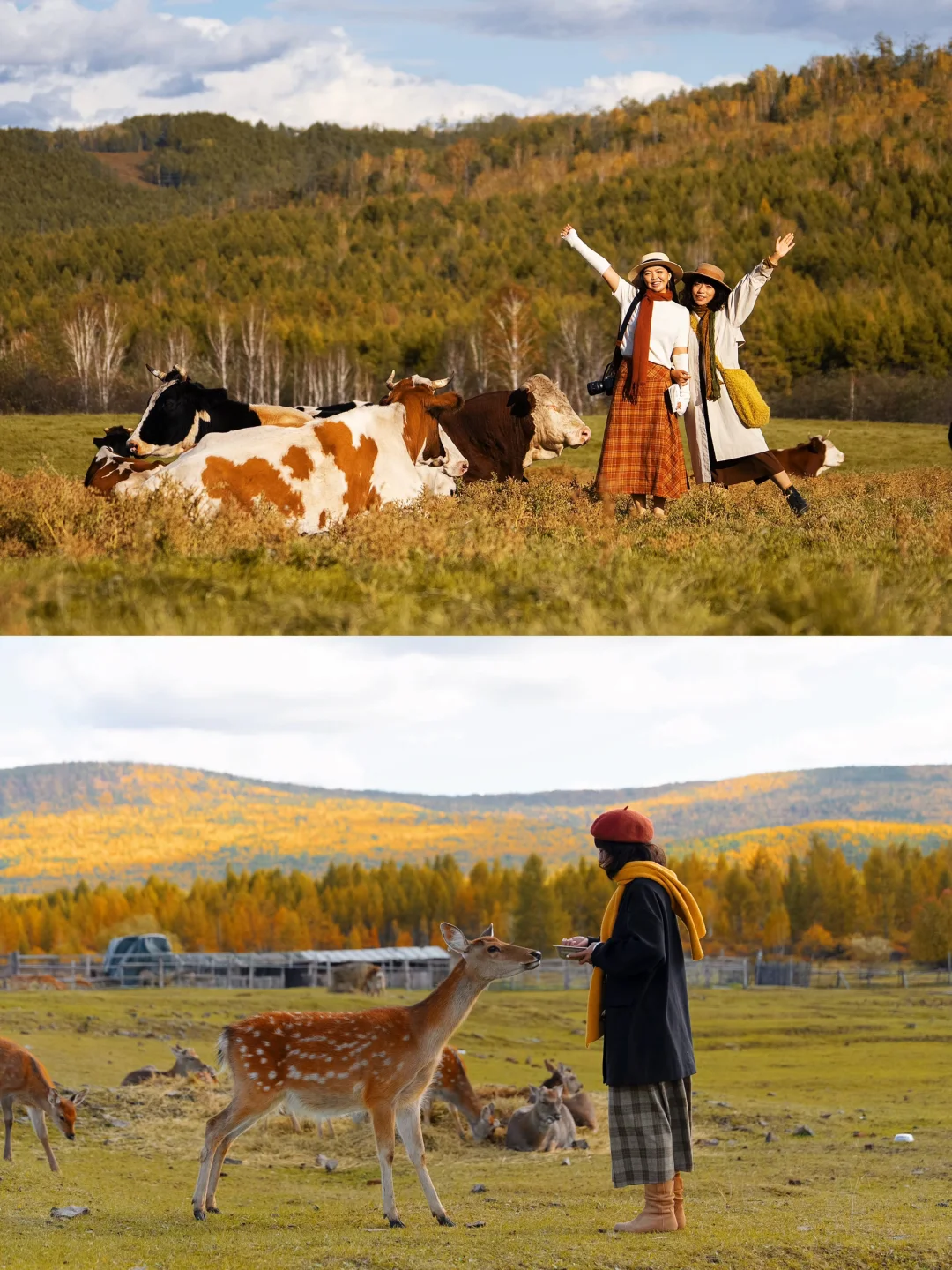 🍂你的内蒙追秋旅行攻略已准备好📚请查收!