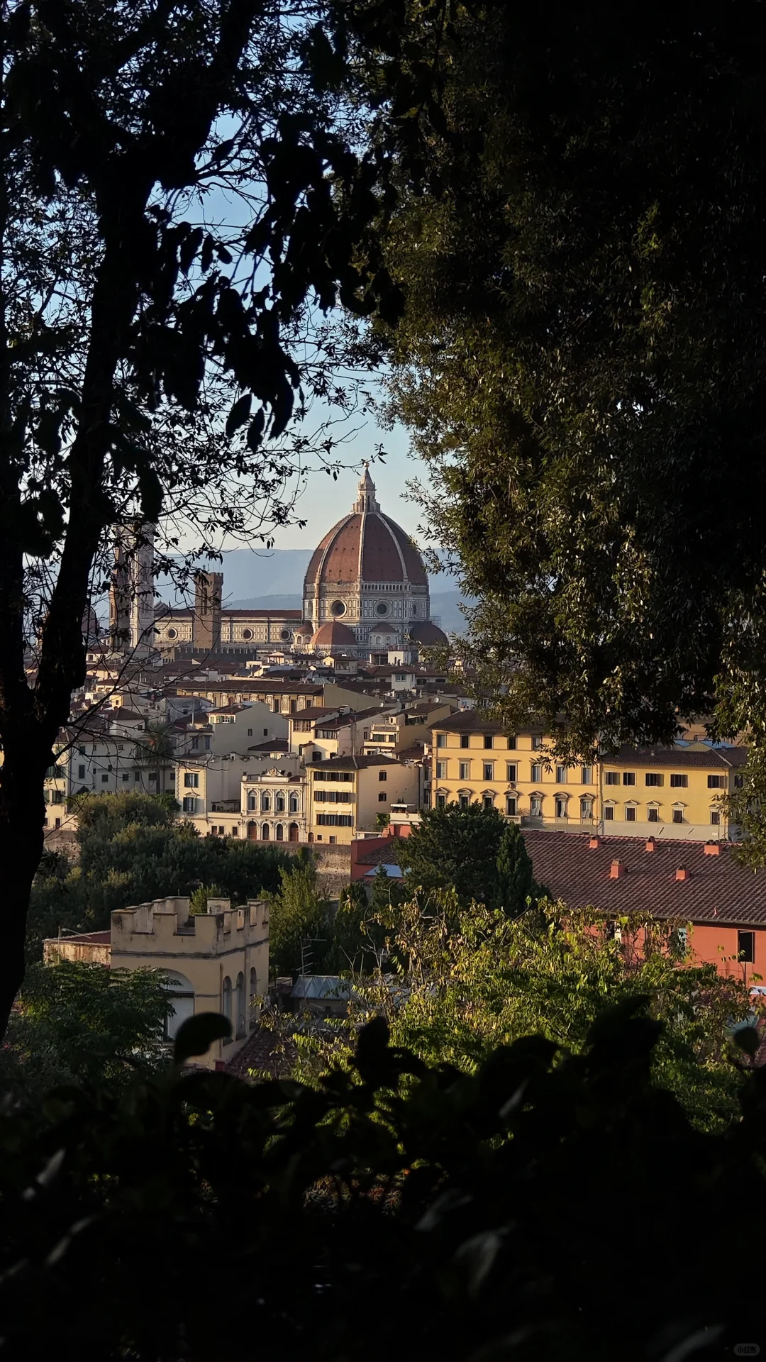 国庆第一批游客已到意大利🇮🇹