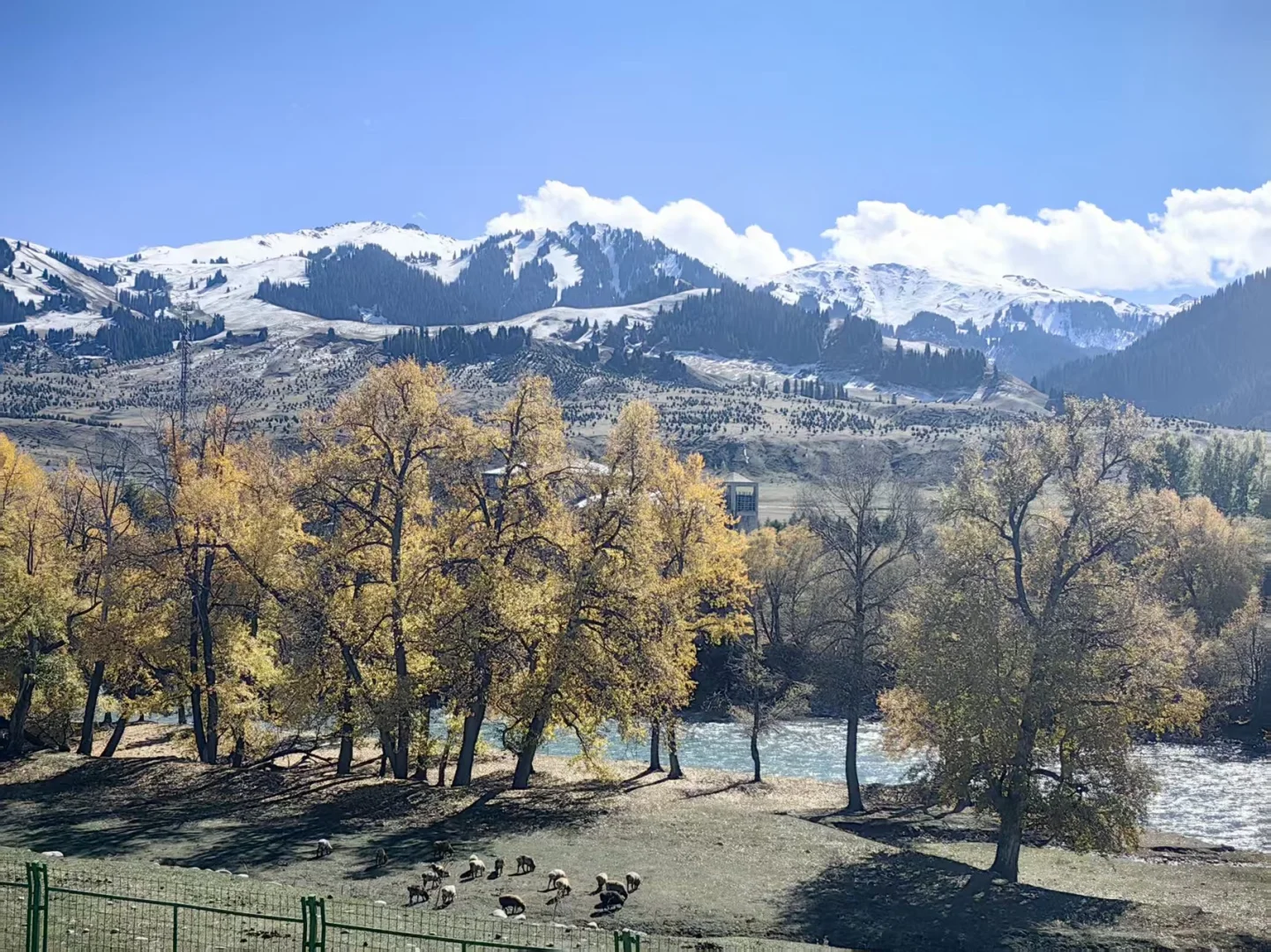 连续三年 十一带娃旅行没遇人挤人