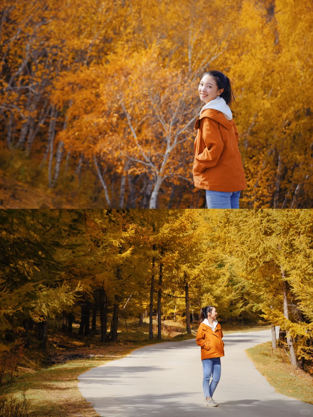 北京自驾|在承德找到了大兴安岭平替🍂