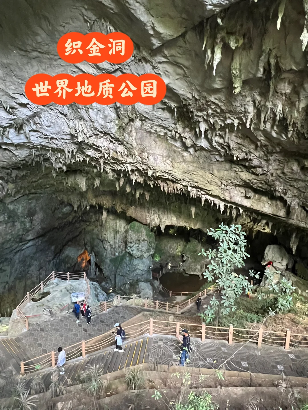 织金洞—世界地质公园