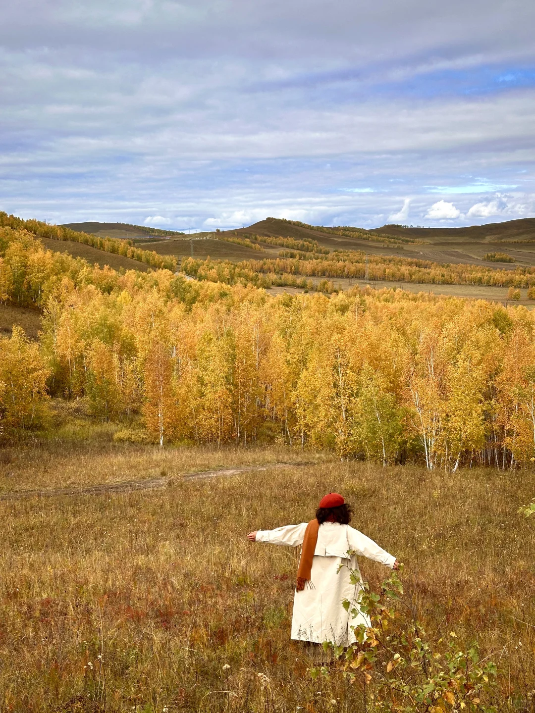 🍂你的内蒙追秋旅行攻略已准备好📚请查收!
