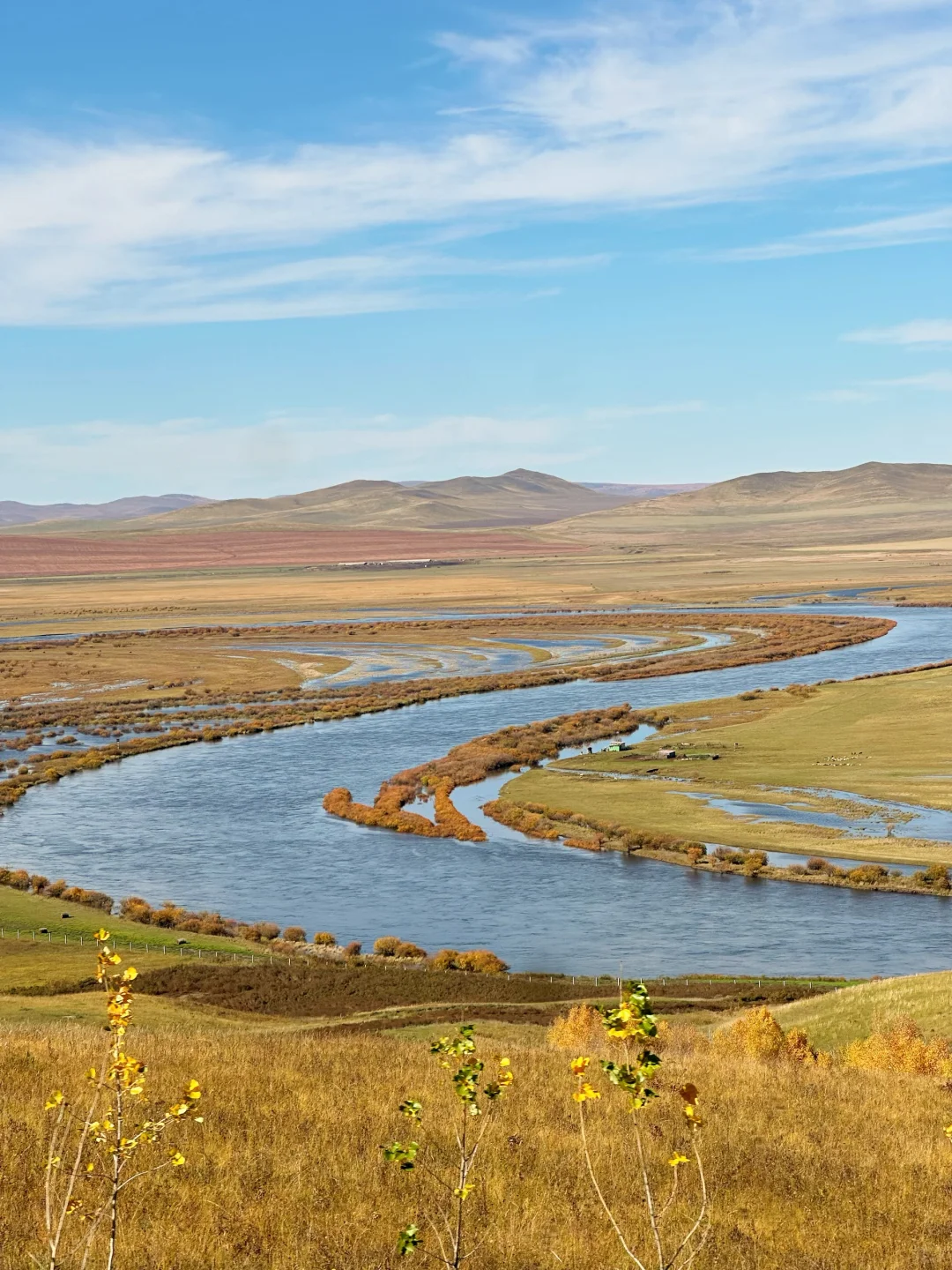 在呼伦贝尔见到了人生中最盛大的秋天🍂