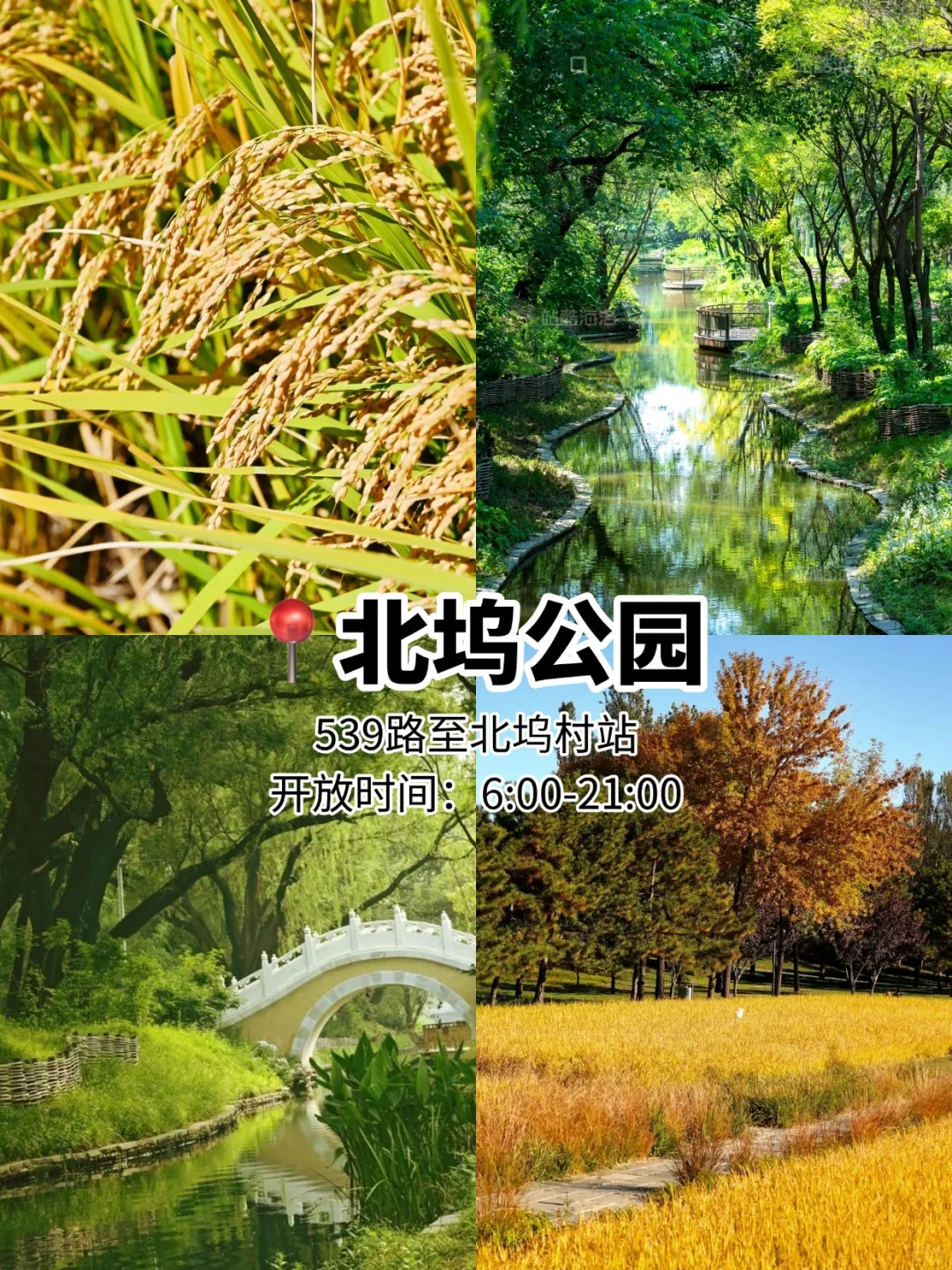 国庆旅游不出京❗️6个好玩儿🆓公园