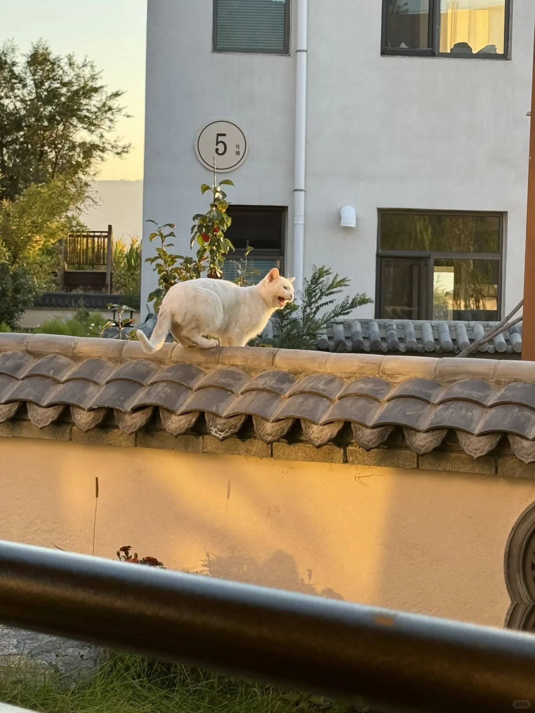 我宣布十一赏秋！北京周边坠美路线！pyq赢麻