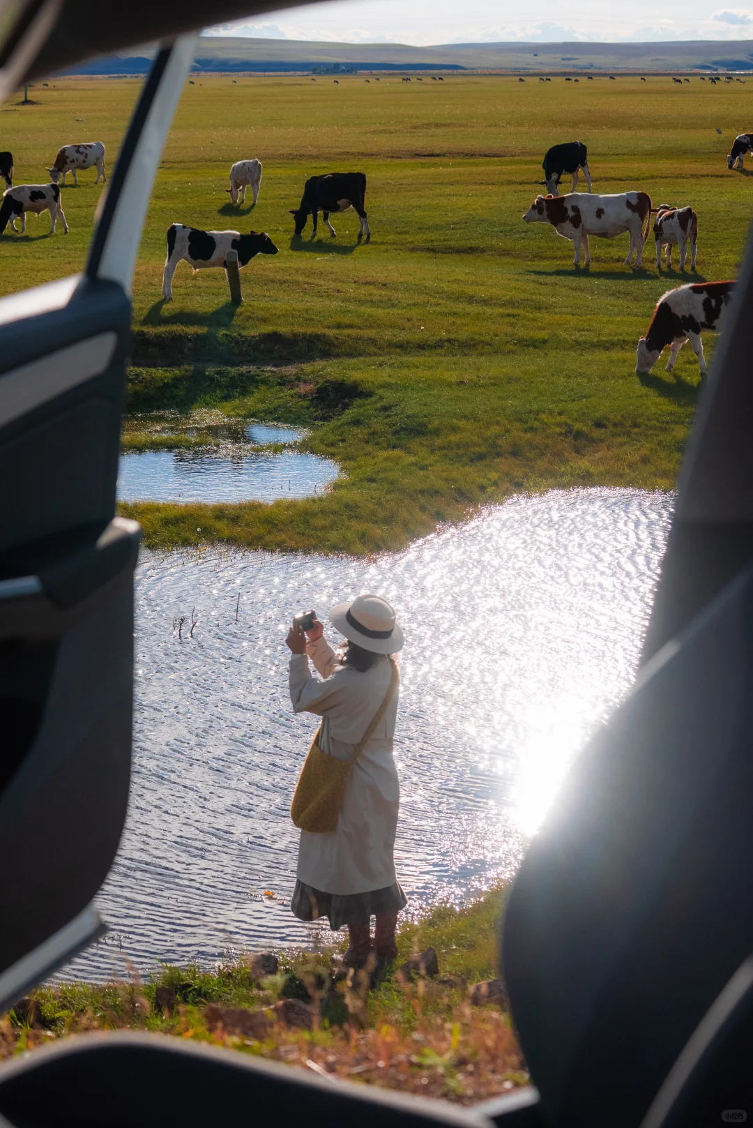 🍂你的内蒙追秋旅行攻略已准备好📚请查收!