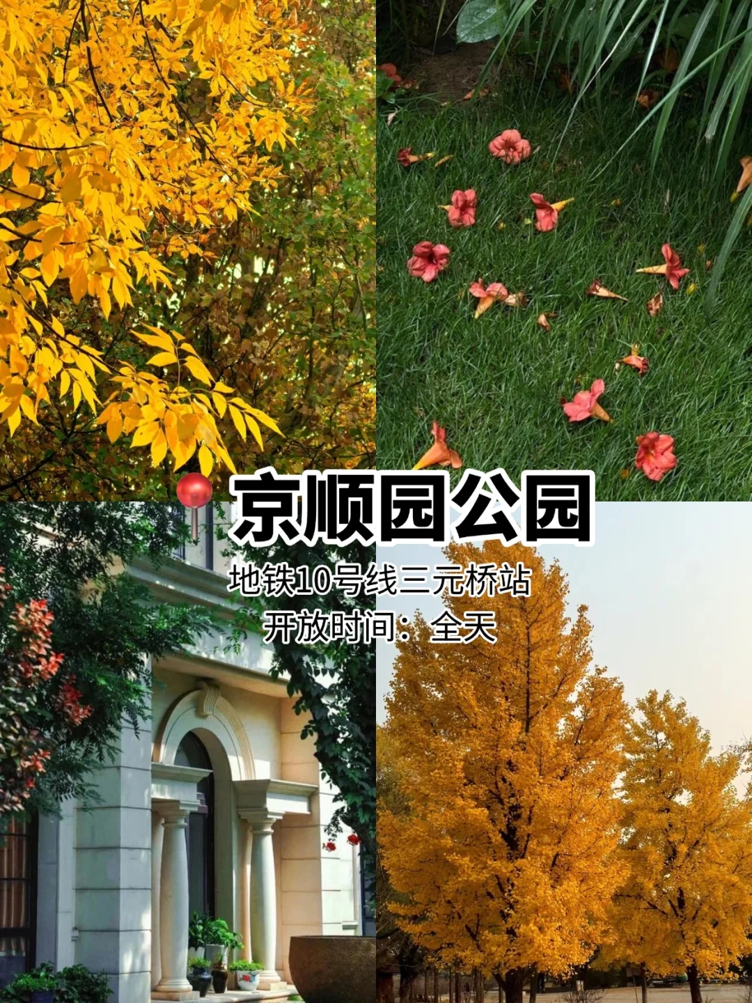 国庆旅游不出京❗️6个好玩儿🆓公园