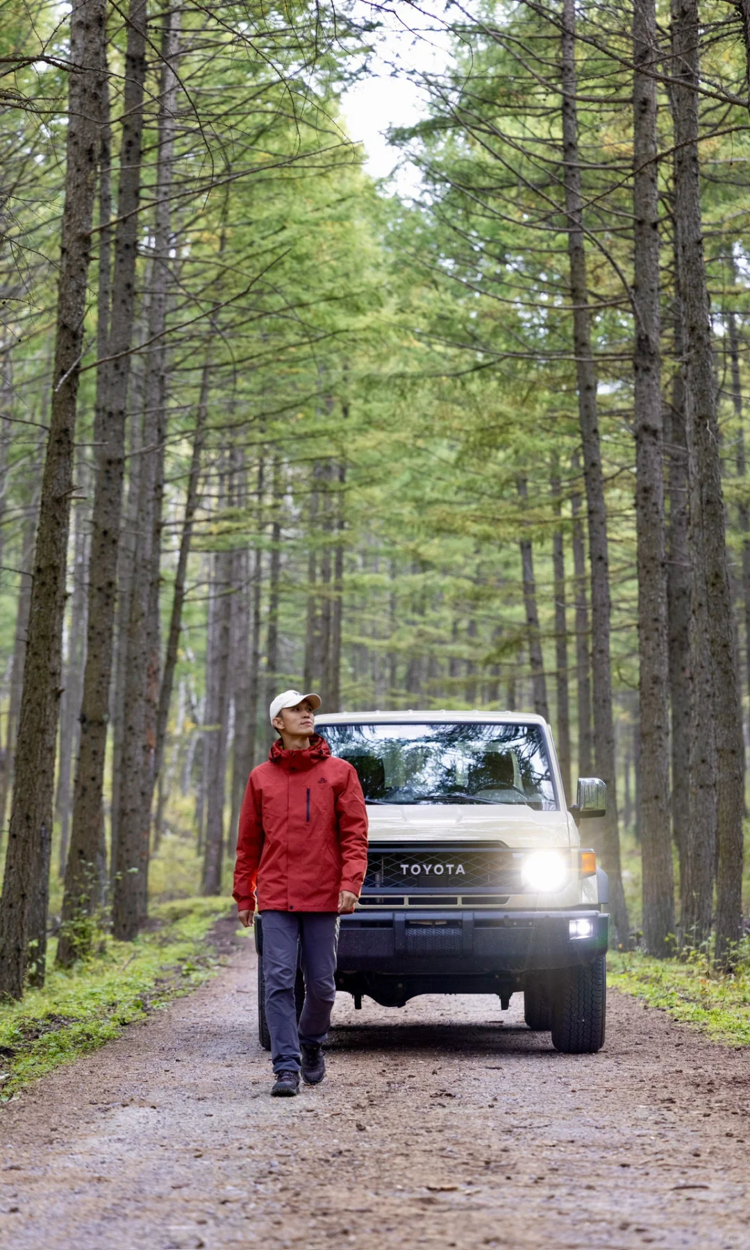 北京3h🚗 闯进了秋天的油画世界!