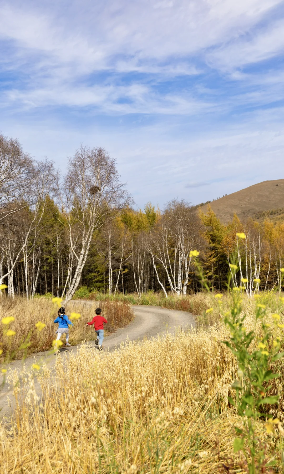 北京3h🚗 闯进了秋天的油画世界！