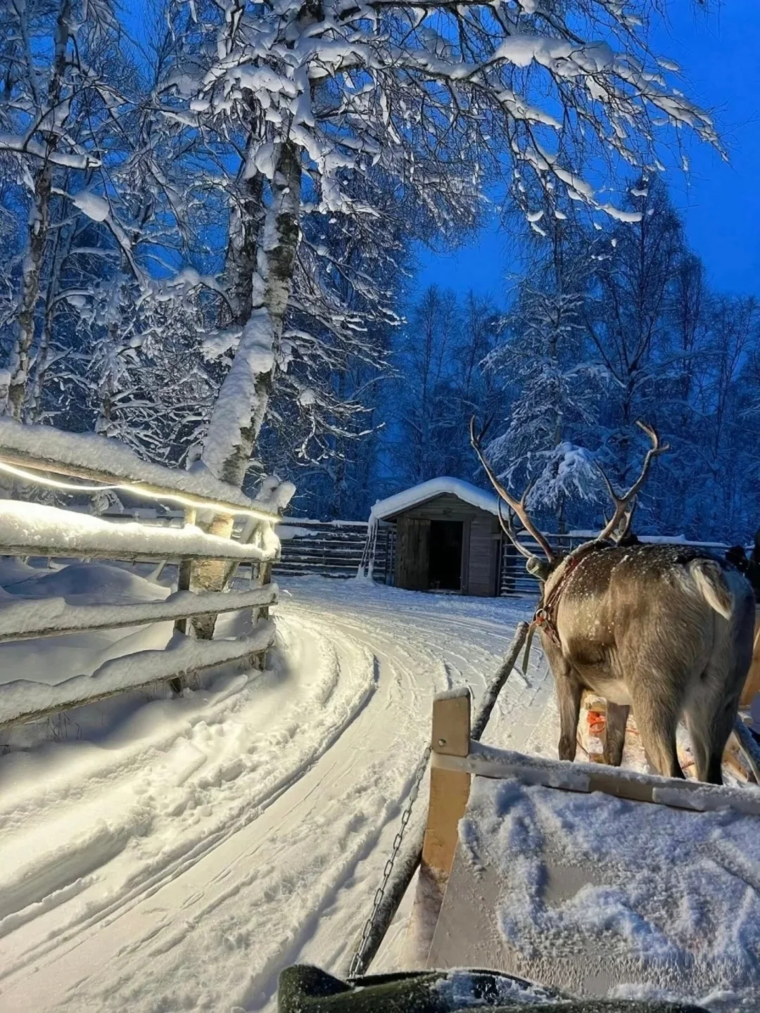 不是芬兰去不起，是长白山的雪橇一样震撼！！！