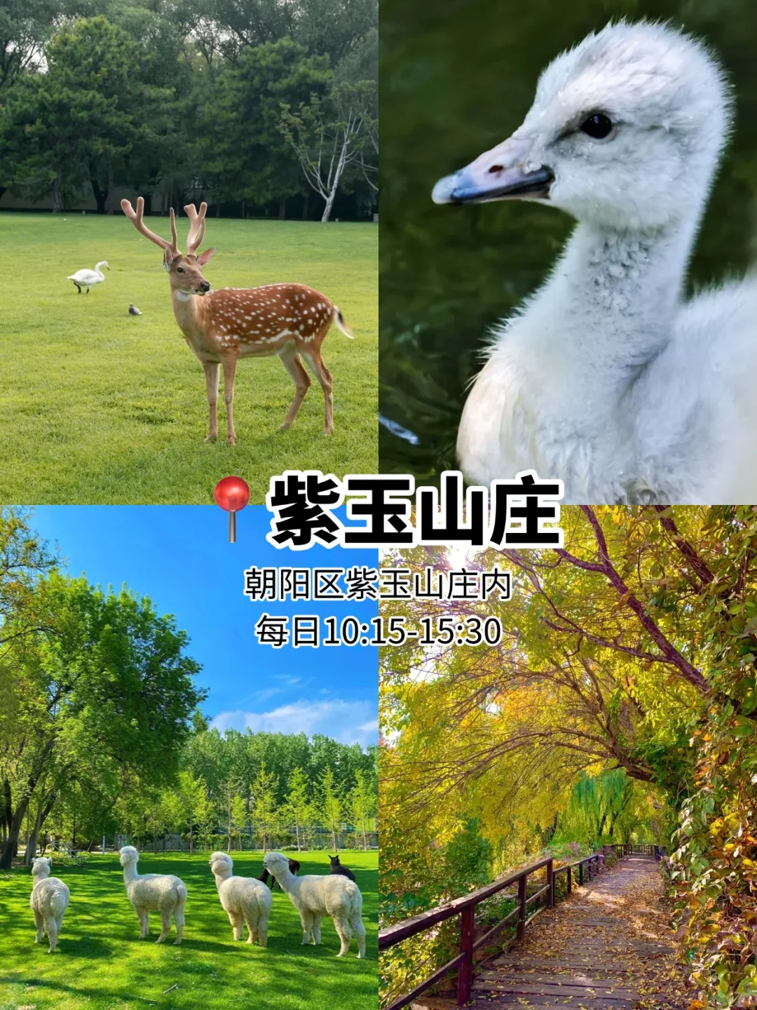 国庆旅游不出京❗️6个好玩儿🆓公园