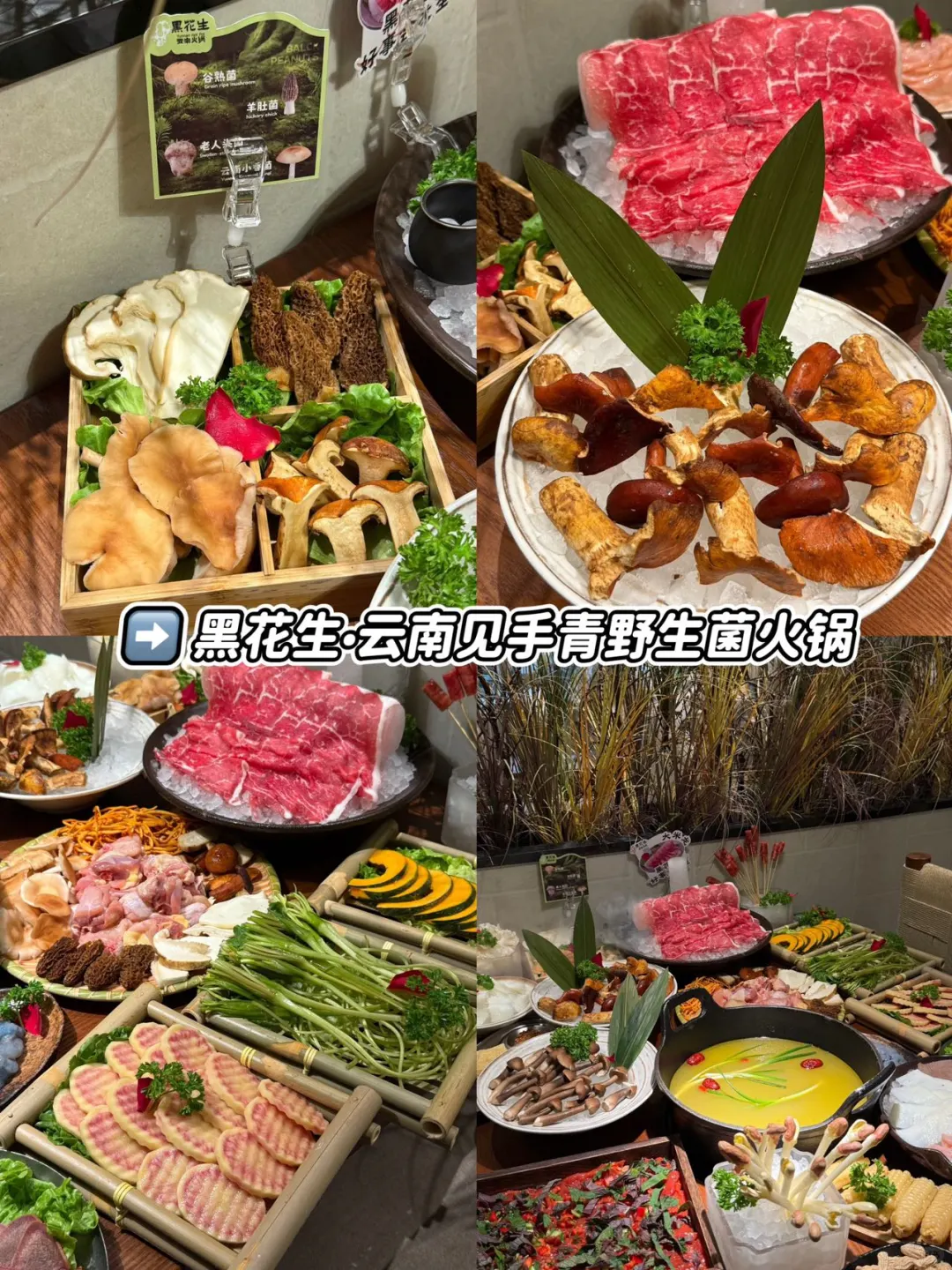 📍扬州已回,再也不听小红书乱说了