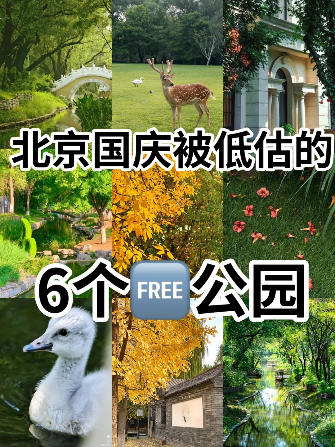 国庆旅游不出京❗️6个好玩儿🆓公园