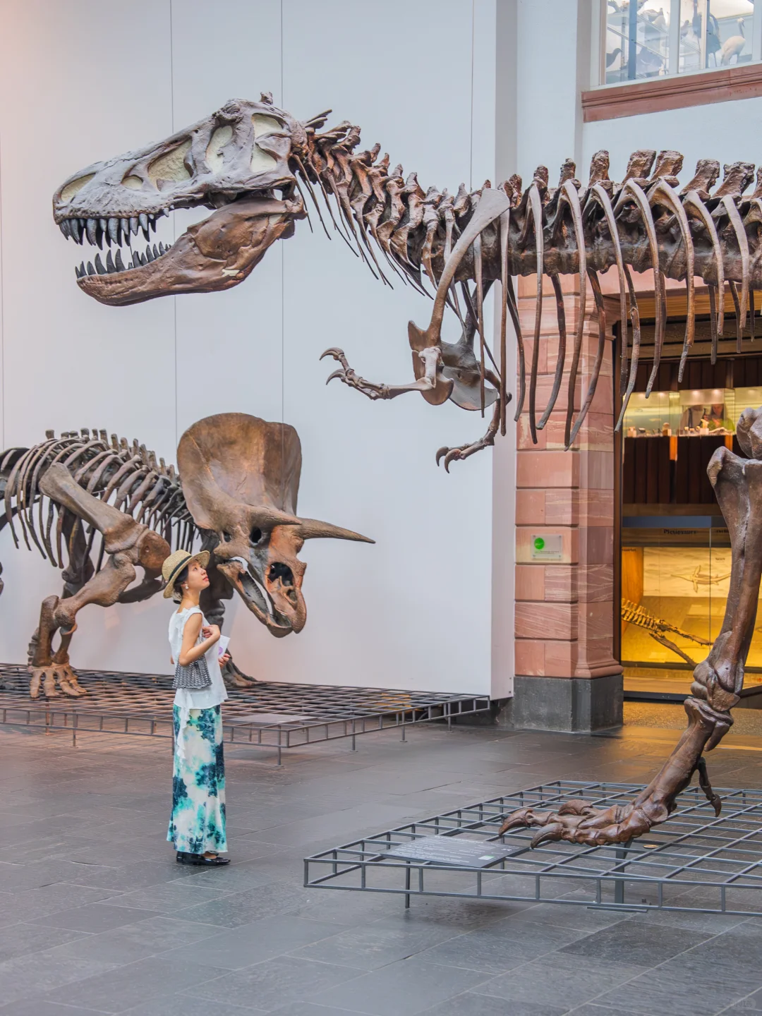 如果你第一次来德国🇩🇪看这篇就够了!
