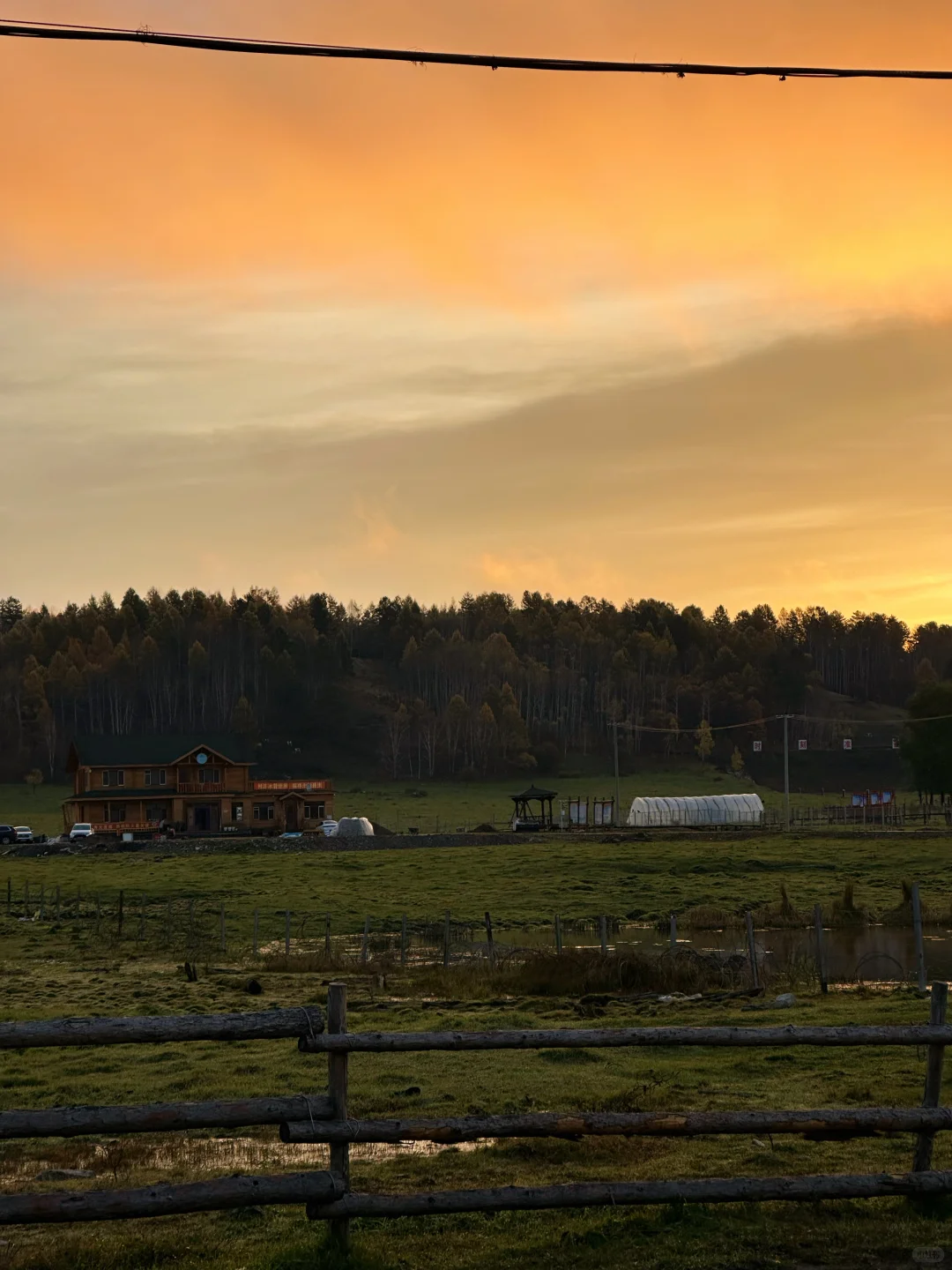 在呼伦贝尔见到了人生中最盛大的秋天🍂