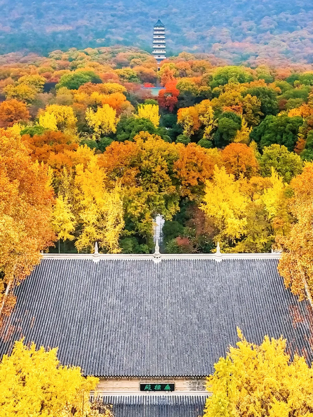 秋天在南京最适合citywalk的⑤条路线‼️