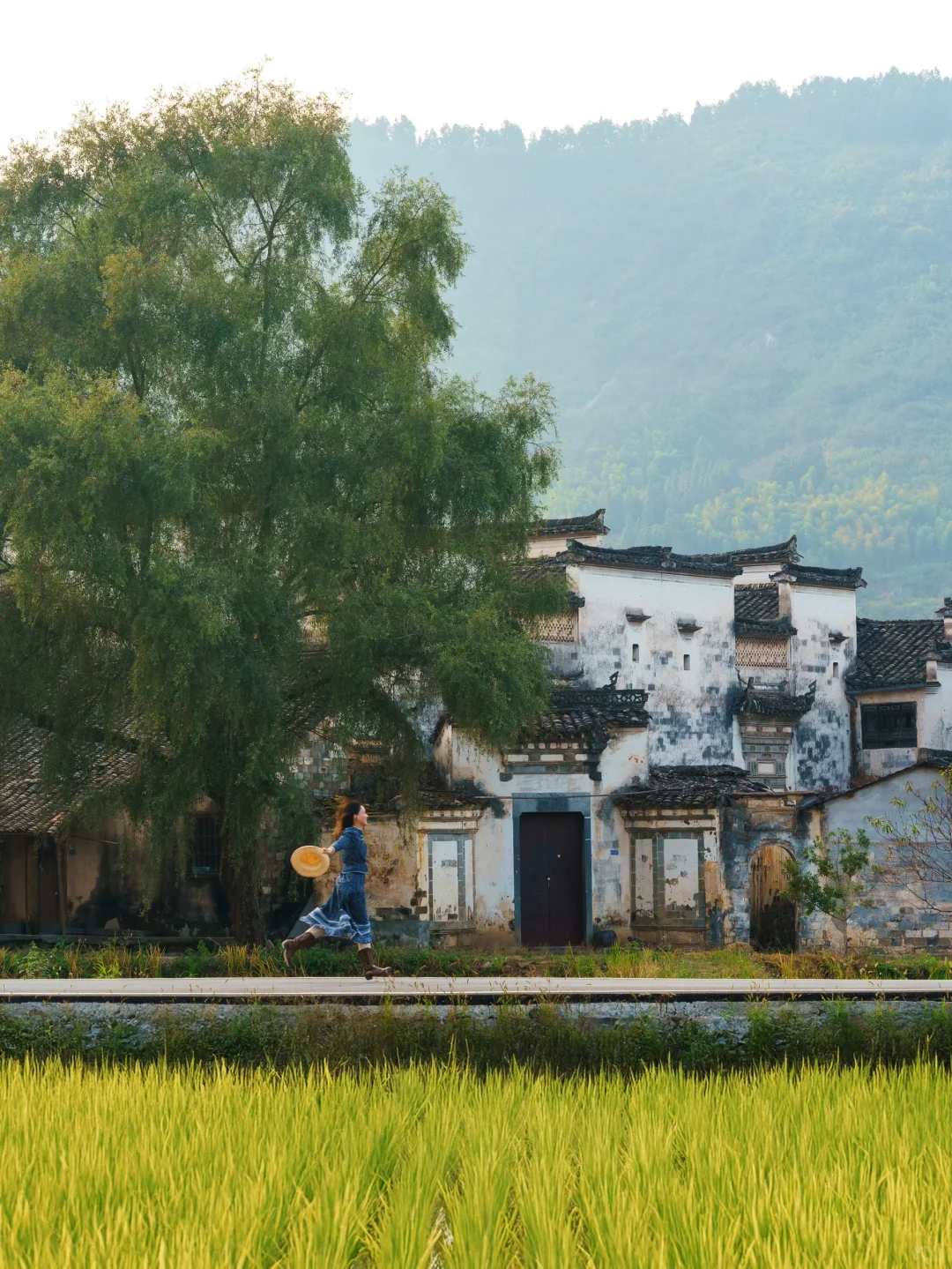 已经开始期待皖南的秋天了🍁🍁🍁