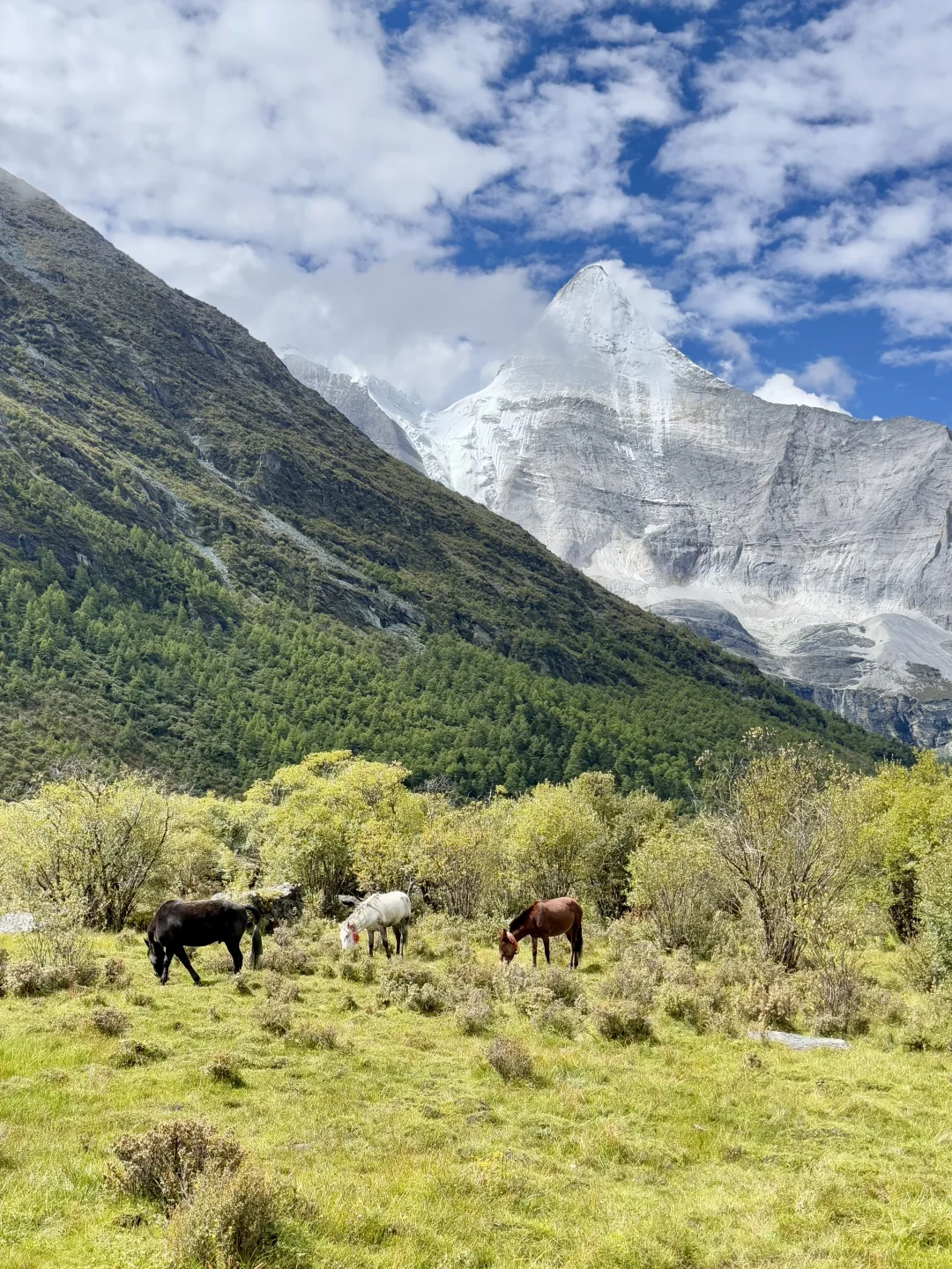 稻城亚丁很美 下次不来了