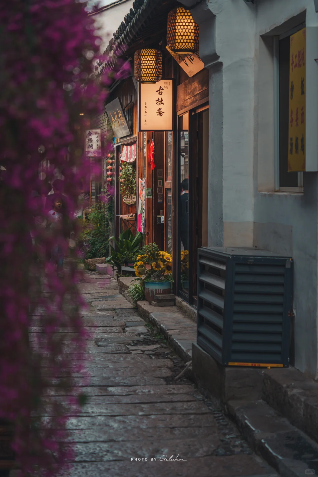 宜兴景点打卡 蜀山古南街和黄龙山公园随拍