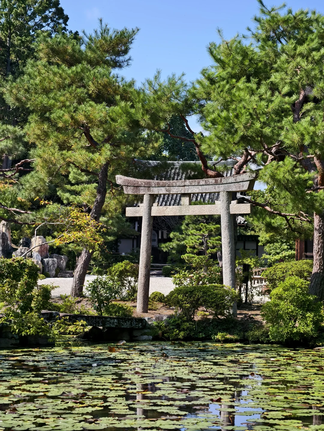 越在国外旅游,越觉得要复兴中国文化