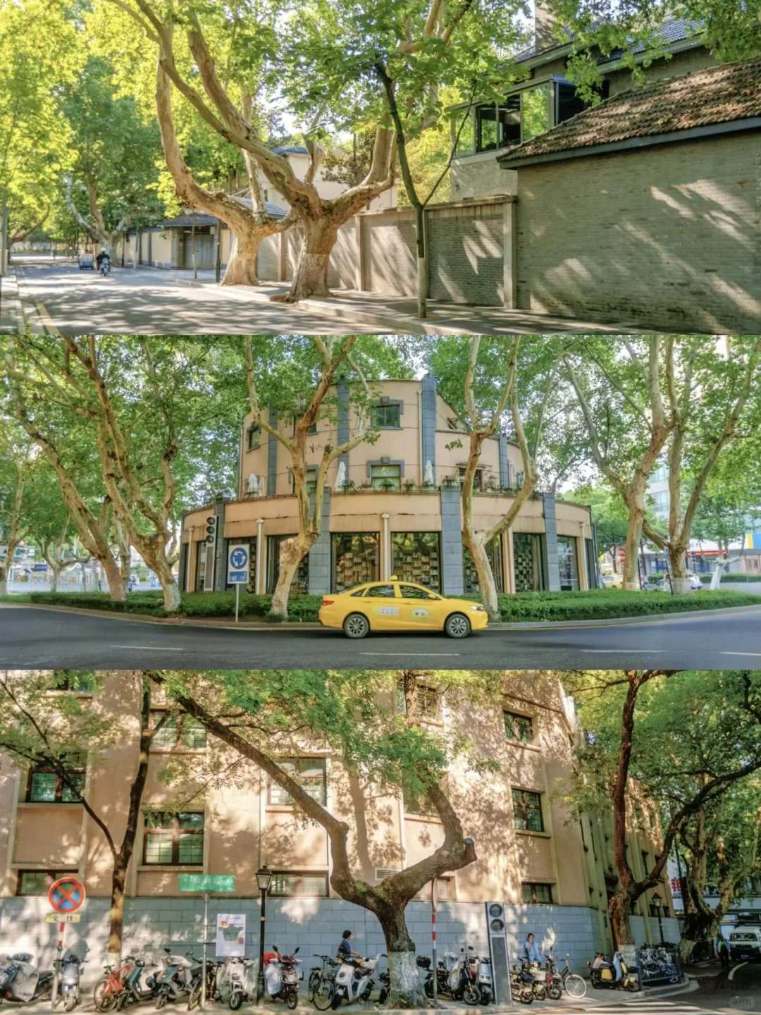 秋天在南京最适合citywalk的⑤条路线‼️