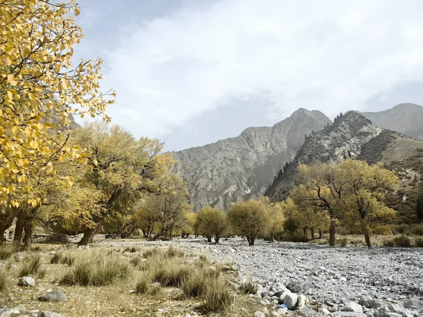 连续三年 十一带娃旅行没遇人挤人