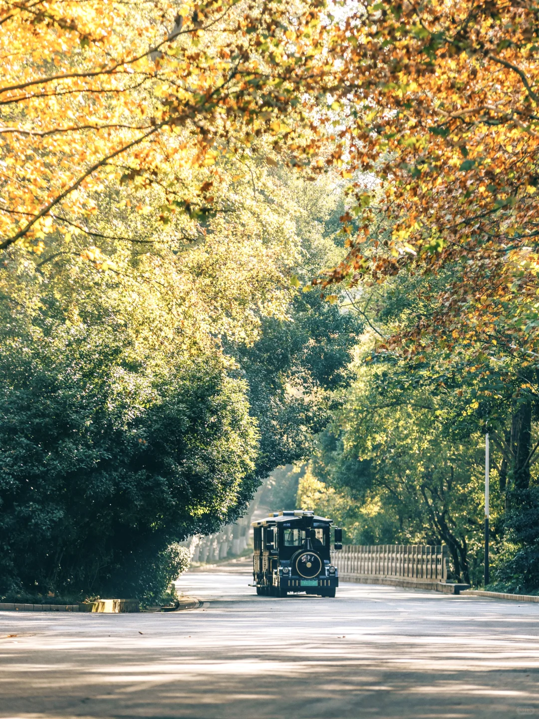 秋天在南京最适合citywalk的⑤条路线‼️