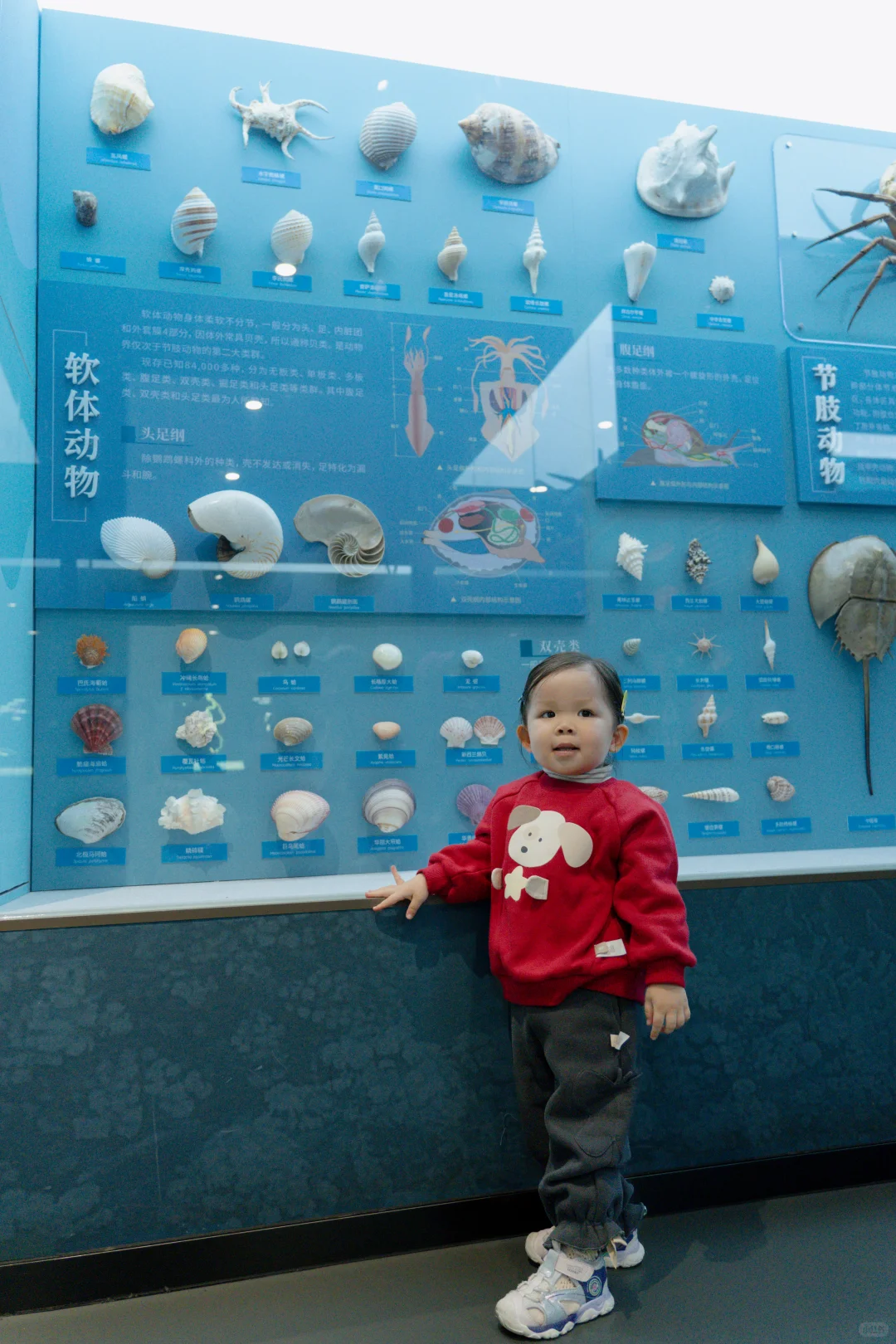 Live不愧是北京！这绝美水族馆竟然是免费的