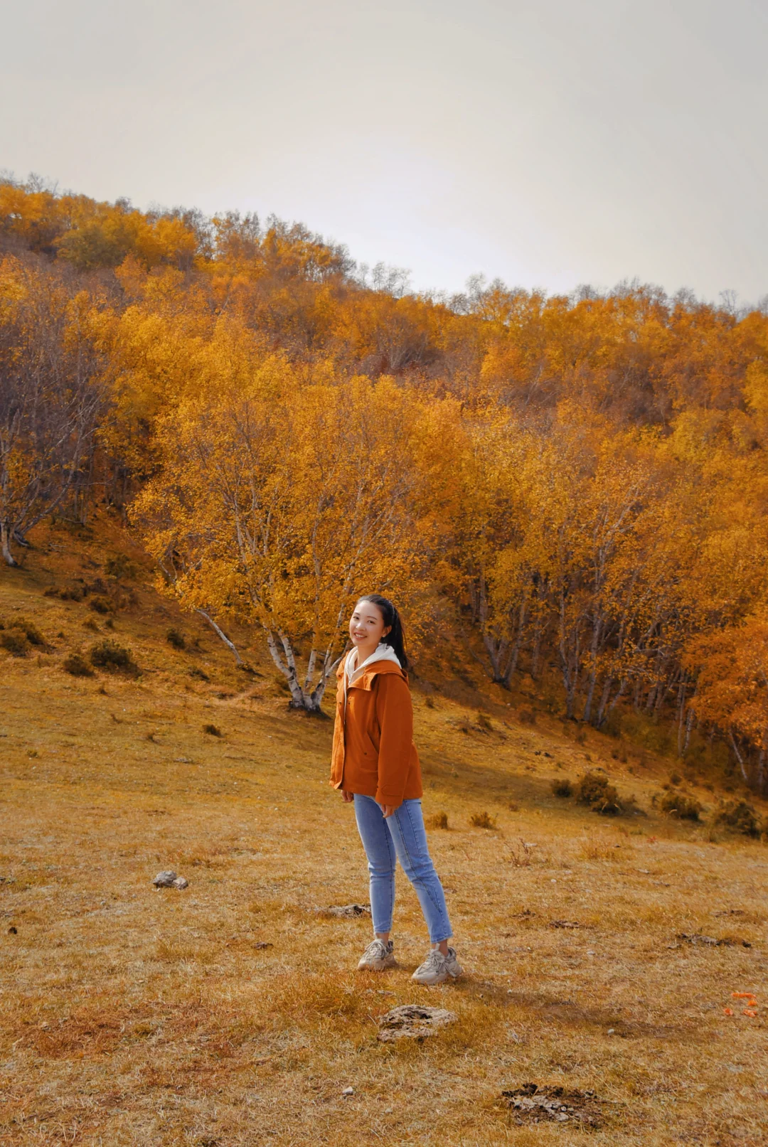 北京自驾|在承德找到了大兴安岭平替🍂