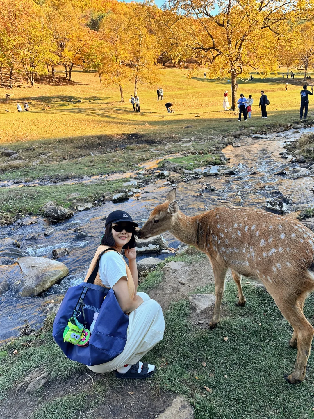 🍂一定要在秋天去一次小兴安岭