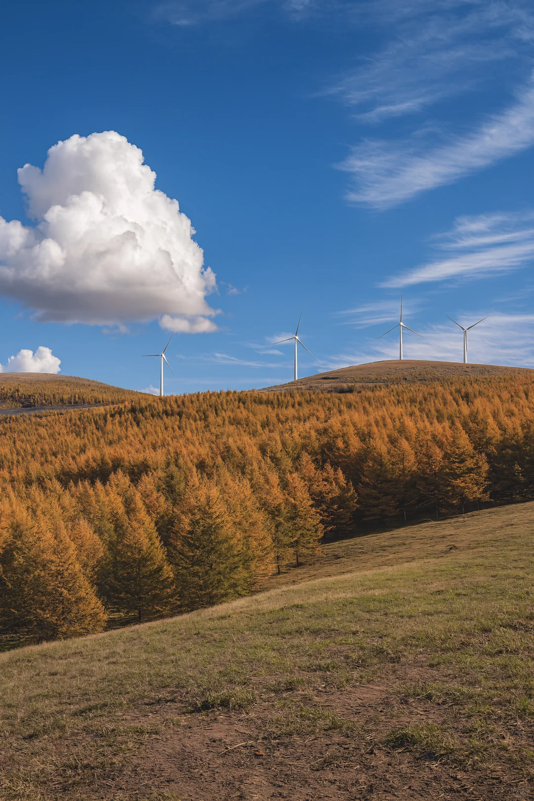 3小时自驾！北京周边遇见“京北阿勒泰”