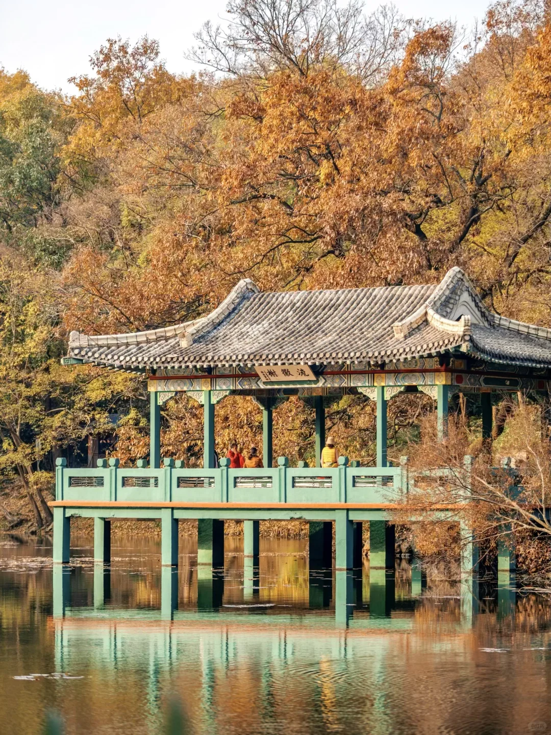 秋天在南京最适合citywalk的⑤条路线‼️