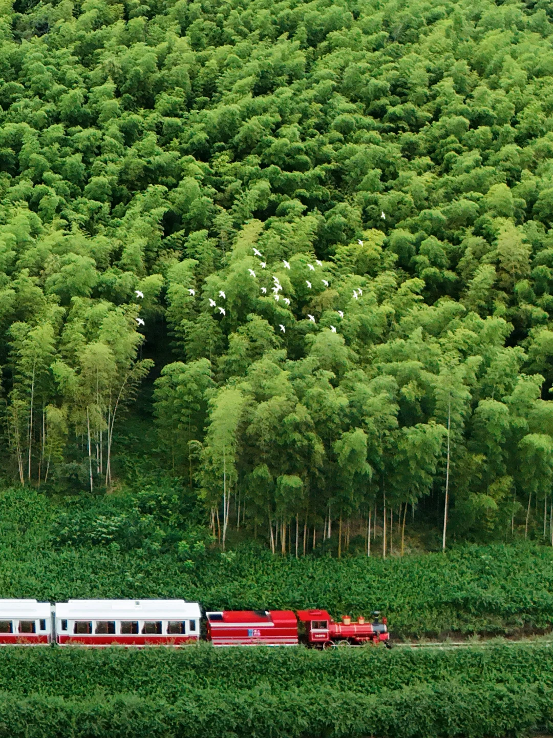 迄今为止,我最喜欢的旅游小城出现了‼️