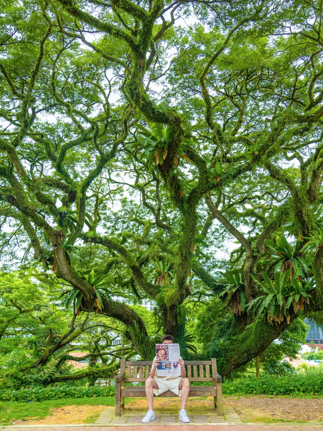 人生建议:去完这1️⃣2️⃣个地方再离开新加坡❗